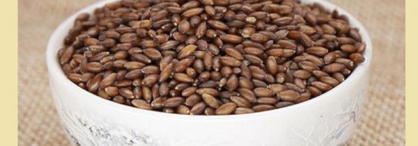 吃黑金谷的禁忌