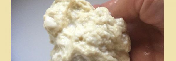 做面筋需要放酵母吗