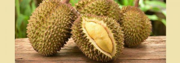 如何挑选榴莲