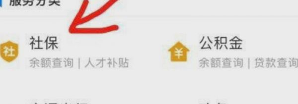 网上怎么缴纳养老保险