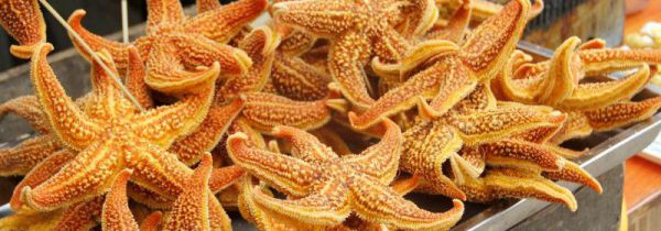 海星能吃吗