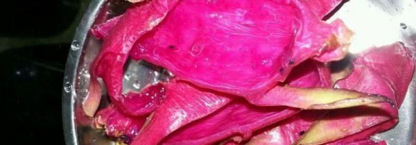 火龙果皮能吃吗