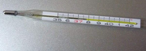 怎么读取水银温度计