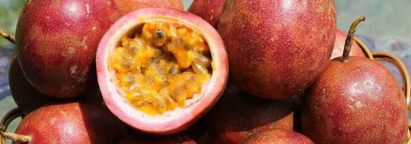 百香果外皮长毛了还能吃吗