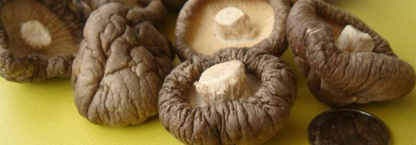 藕和香菇能一起吃吗