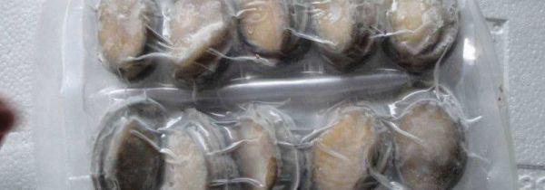 活鲍鱼如何冷冻保存