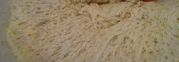 发面发好了是什么样子