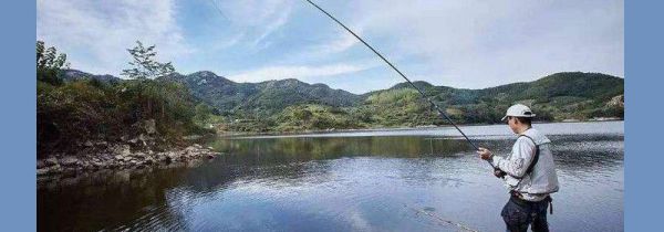 气温低怎么钓鲫鱼