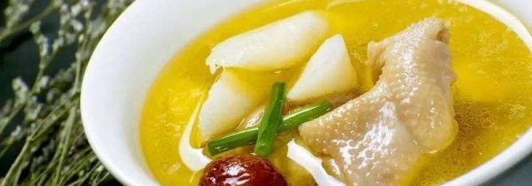炖汤用什么鸡