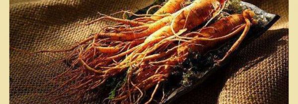 只能在韩国买到的东西