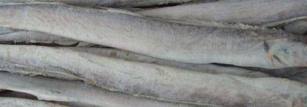 新鲜带鱼放冰箱怎么保鲜