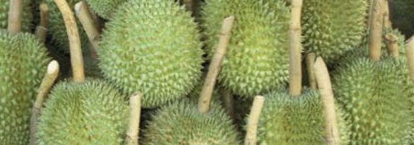 榴莲绿色没开口能吃吗