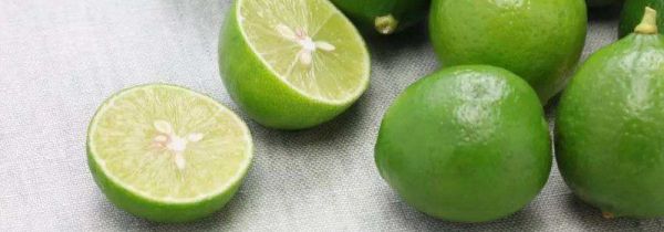 青柠和柠檬的区别