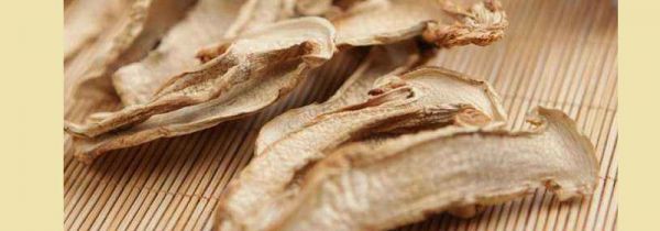 干松茸菌的功效和吃法