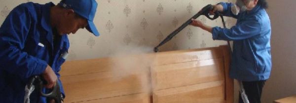 新床有味道怎么去除