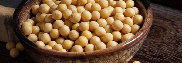 酸奶和什么不能一起吃