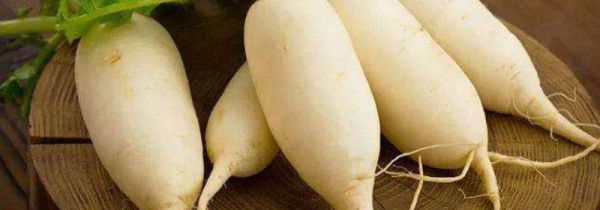 沙糖桔不能和什么同吃