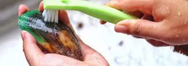 青口贝怎么处理