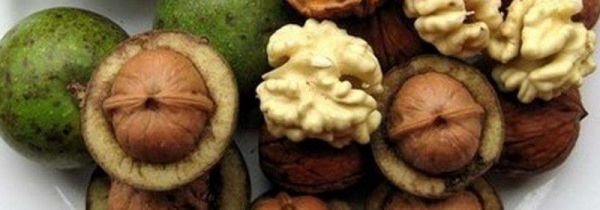 核桃皮儿是什么垃圾