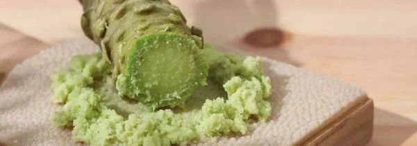 芥末的功效与禁忌