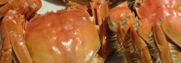 螃蟹可以和车厘子一起吃吗