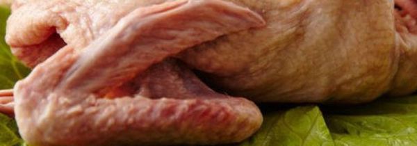 鸽子汤怎么炖不上火