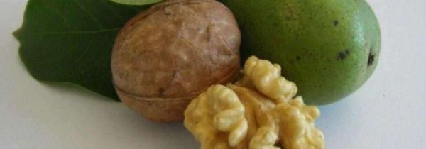 生核桃和熟核桃的区别