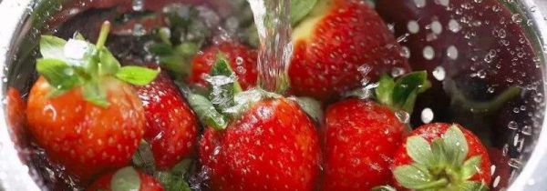草莓用小苏打洗还是盐