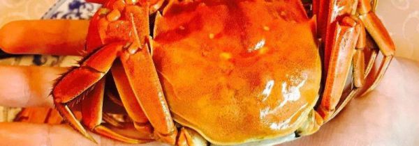 江西上饶特产有哪些土特产