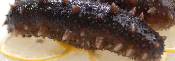 湿海参怎么保存