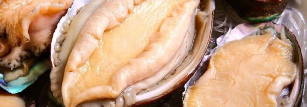 怎么判断鲍鱼变质