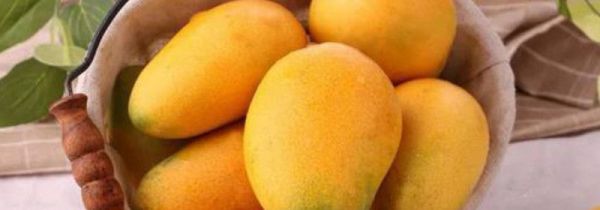 芒果怎样保存一个月