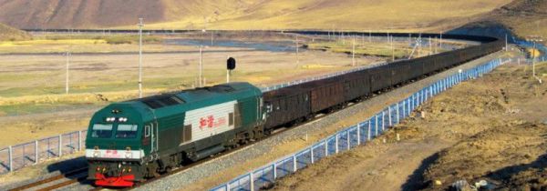 怎么查询肺炎车次