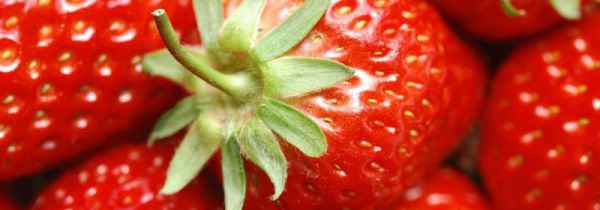 车厘子跟草莓能一起吃吗