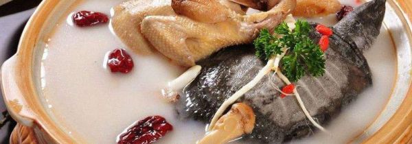 新鲜甲鱼怎么保存