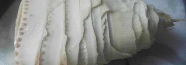 冬笋可以冷冻保存吗