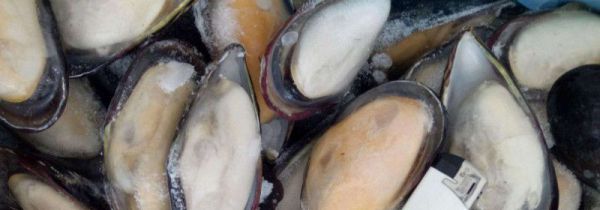 蓝口贝怎么清洗