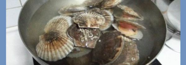 扇贝冷水煮还是开水煮