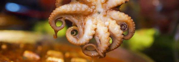 大八爪鱼煮多长时间熟