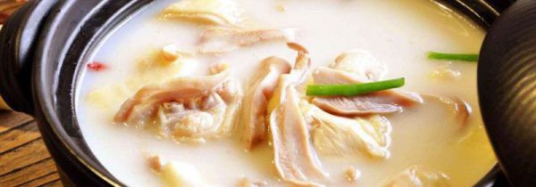 猪肚鸡汤的做法窍门