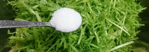 银丝芥菜是苦菊吗