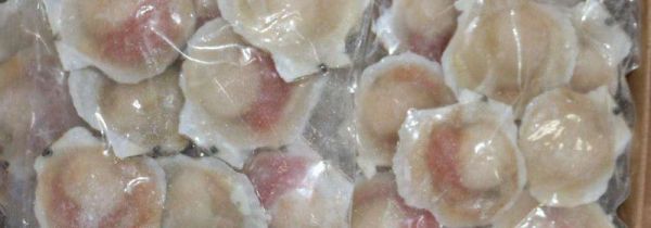 扇贝如何冷冻保存