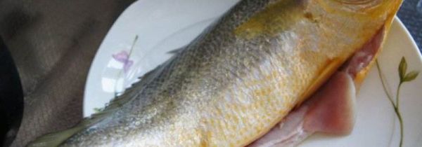 黄花鱼蒸多长时间能熟