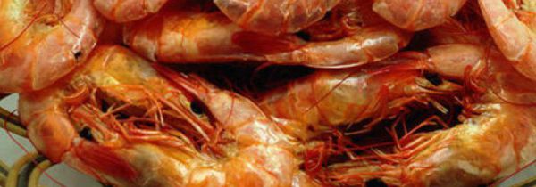 天然烤虾可以直接吃吗