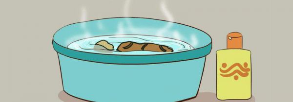 衣物怎么用84消毒