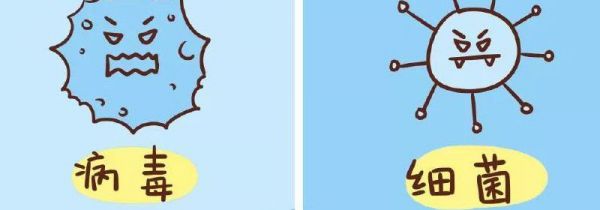 细菌和病毒的区别