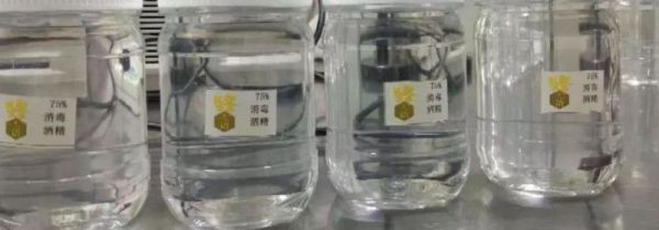 滴露消毒液和酒精区别