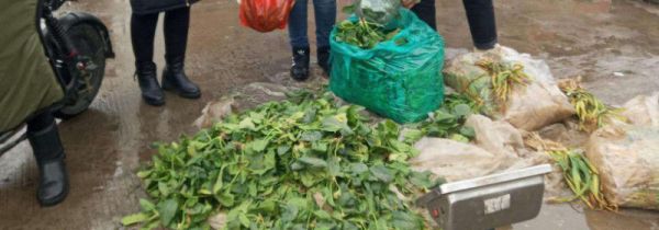 超市买的食物怎么消毒