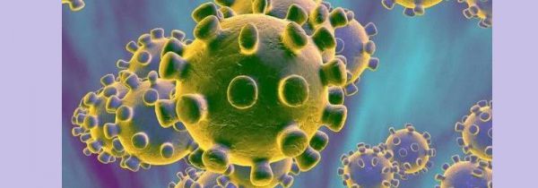 什么是新型冠状病毒