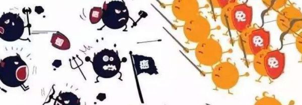 人体消灭病毒的原理